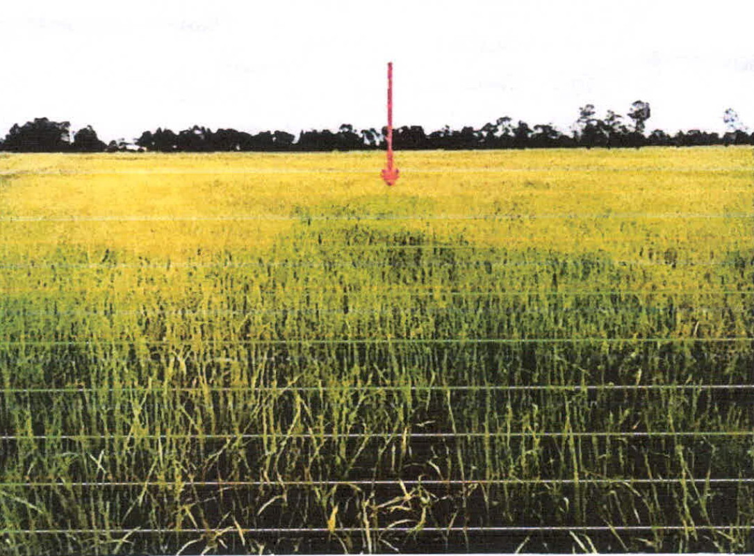 ที่ดินเปล่า ศรีสะเกษ ราษีไศล จิกสังข์ทอง 374220