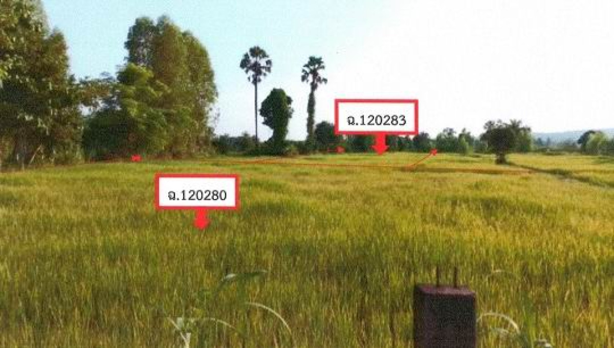 ที่ดินเปล่า สกลนคร เมืองสกลนคร ดงมะไฟ 77480