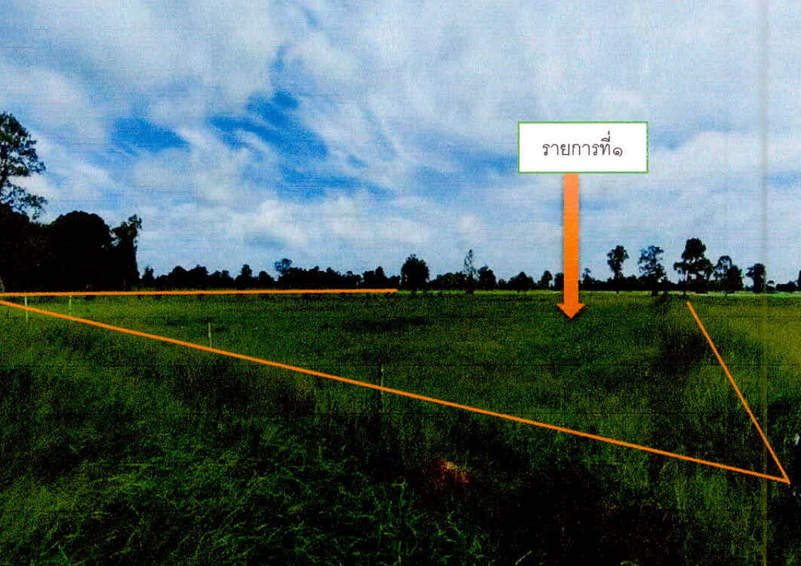 ที่ดินเปล่า ศรีสะเกษ ขุขันธ์ สะเดาใหญ่ 258120