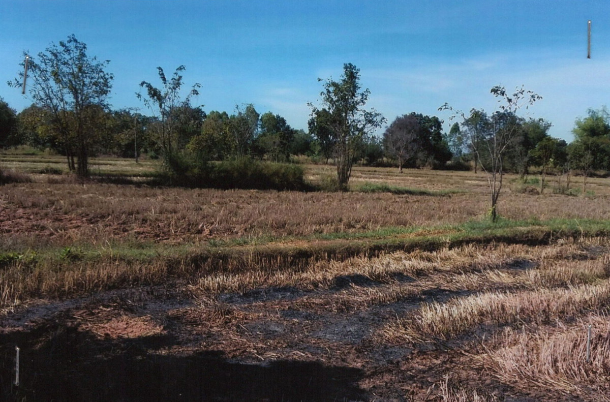 ที่ดินเปล่า หนองบัวลำภู โนนสัง โนนสัง 981050