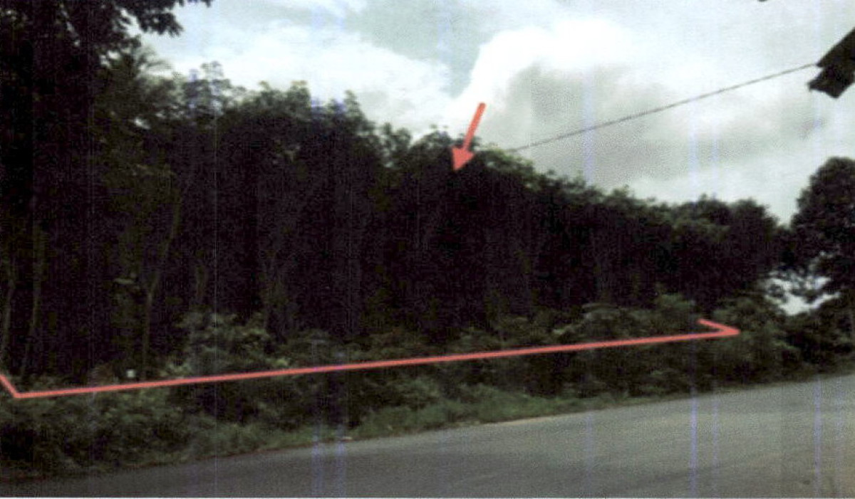 ที่ดินเปล่า กระบี่ คลองท่อม คลองพน 4143000