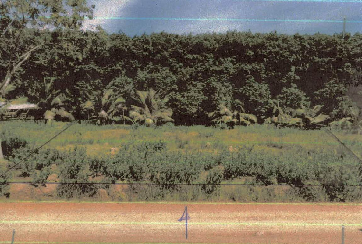 ที่ดินเปล่า กระบี่ เหนือคลอง เกาะศรีบอยา 151875