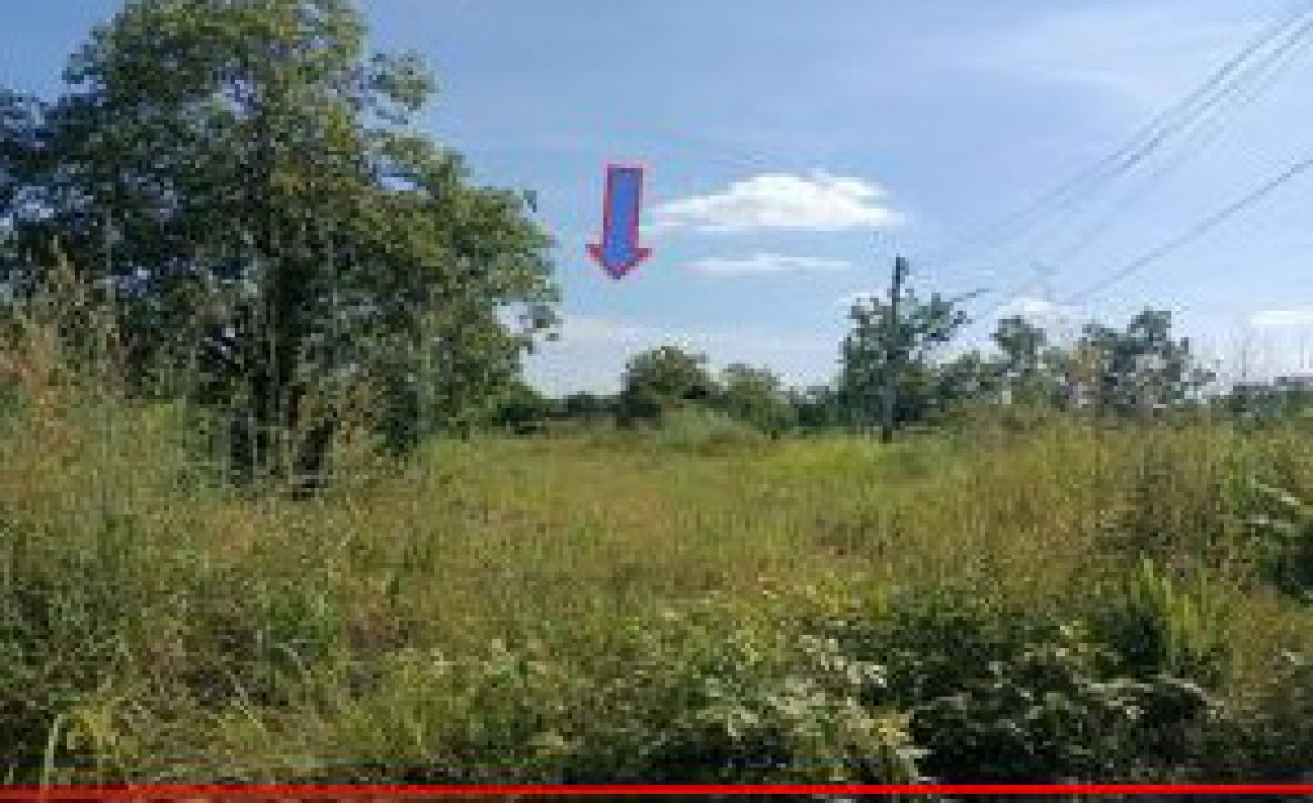 ที่ดินเปล่า อุบลราชธานี เดชอุดม สมสะอาด 112500