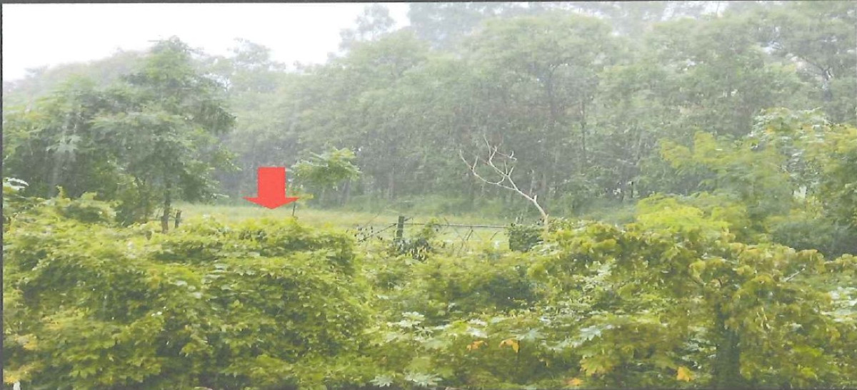 ที่ดินเปล่า ตาก บ้านตาก ท้องฟ้า 862400