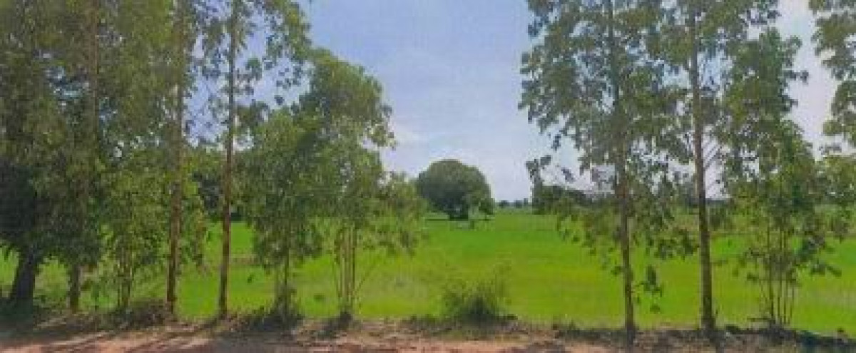 ที่ดินเปล่า นครราชสีมา ประทาย เมืองโดน 854800