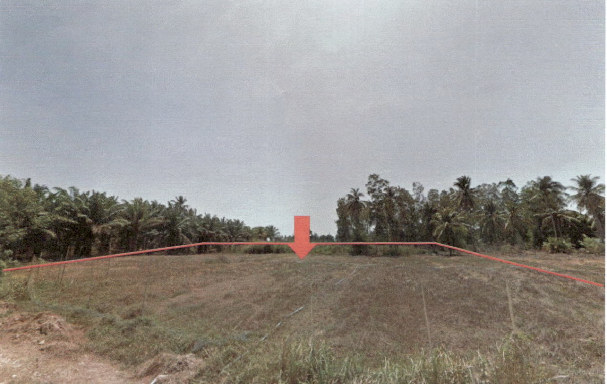 ที่ดินเปล่า กระบี่ เหนือคลอง ตลิ่งชัน 163988