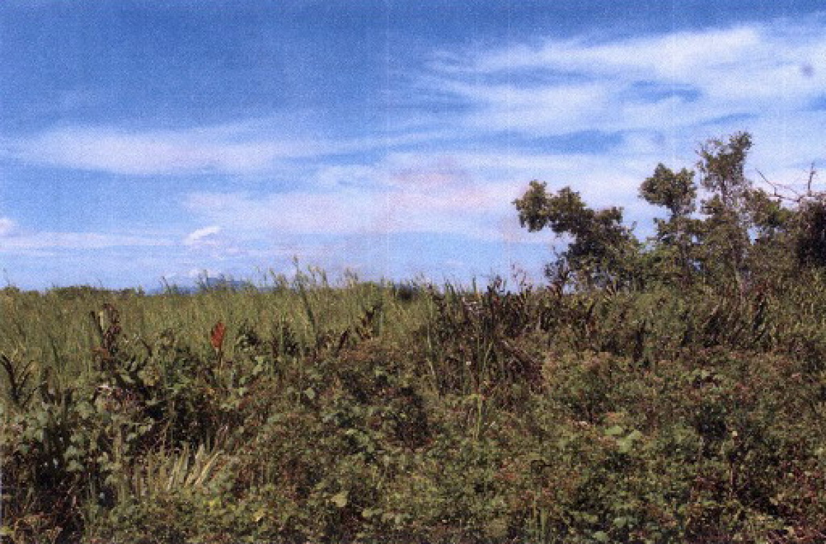 ที่ดินเปล่า ประจวบคีรีขันธ์ เมืองประจวบคีรีขันธ์ บ่อนอก 208500