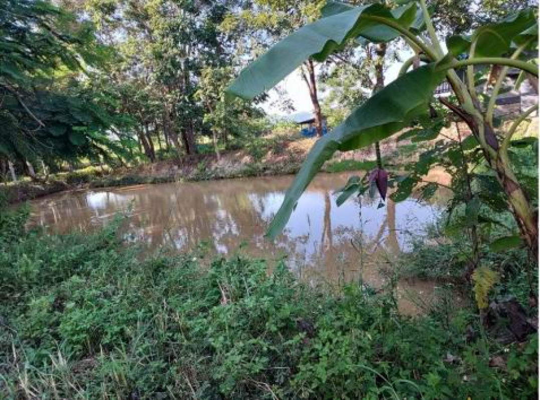 ที่ดินเปล่า เชียงราย เชียงของ ห้วยซ้อ 52850