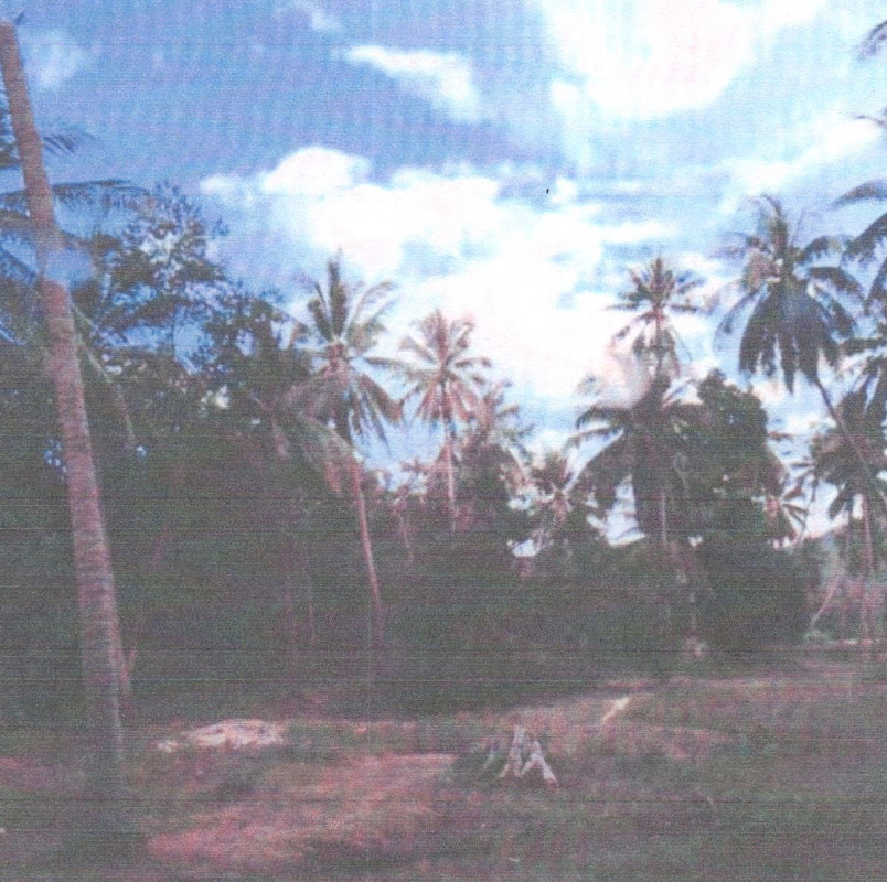 ที่ดินเปล่า ปัตตานี ยะหริ่ง ตะโละกาโปร์ 36842