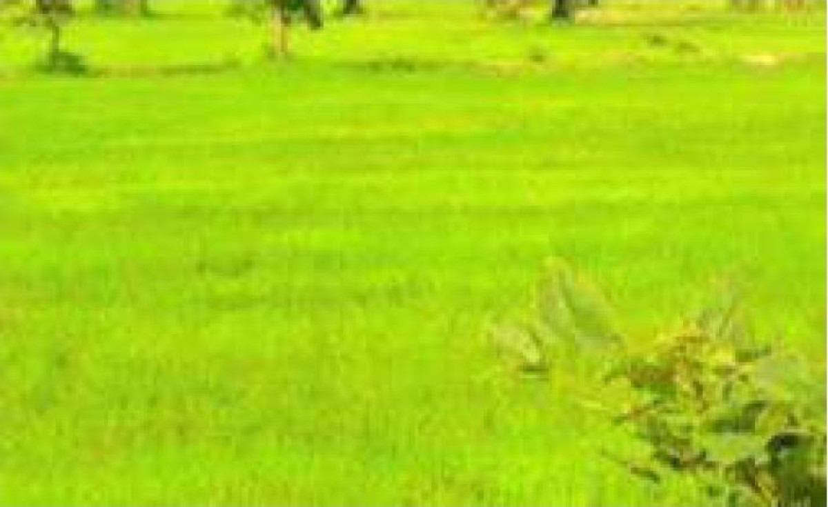 ที่ดินเปล่า ขอนแก่น หนองสองห้อง โนนธาตุ 648050