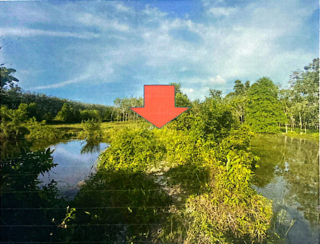 ที่ดินเปล่า ปัตตานี โคกโพธิ์ ท่าเรือ 112554