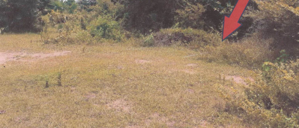 ที่ดินเปล่า มหาสารคาม กันทรวิชัย นาสีนวน 859010