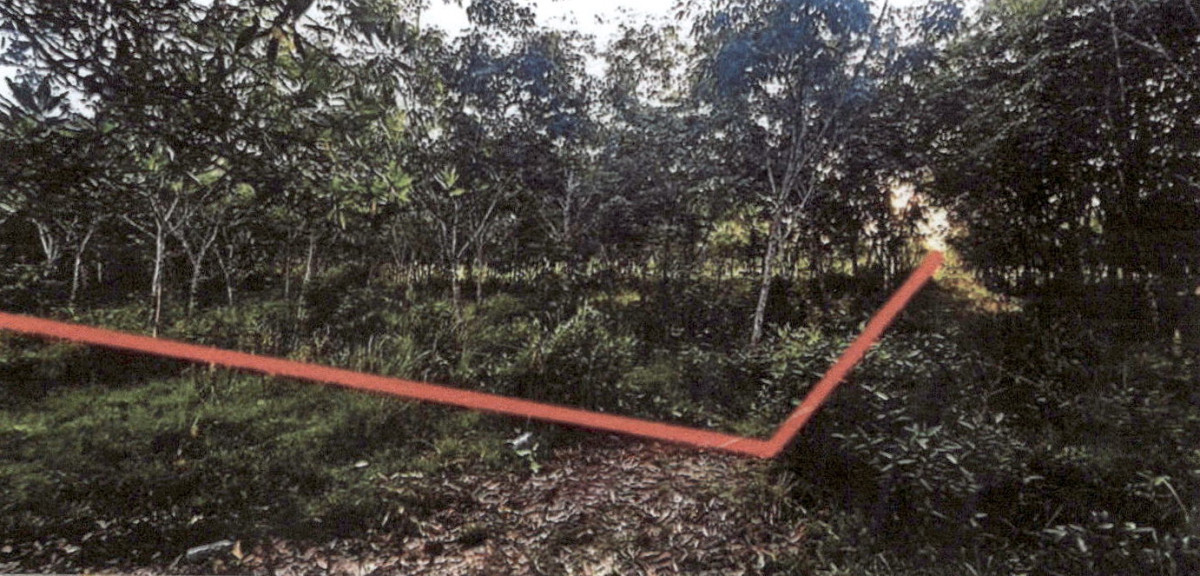 ที่ดินเปล่า กระบี่ คลองท่อม คลองพน 179520