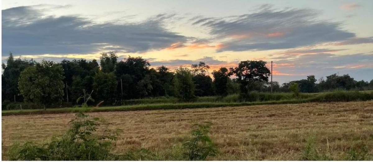 ที่ดินเปล่า มหาสารคาม เมืองมหาสารคาม โคกก่อ 240000