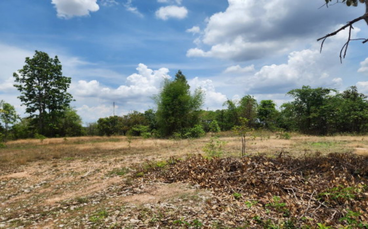 ที่ดินเปล่า อุบลราชธานี พิบูลมังสาหาร ทรายมูล 413790