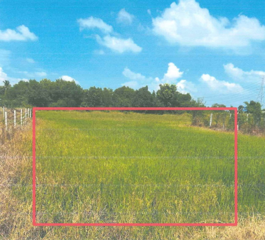 ที่ดินเปล่า นนทบุรี ไทรน้อย ราษฎร์นิยม 70400