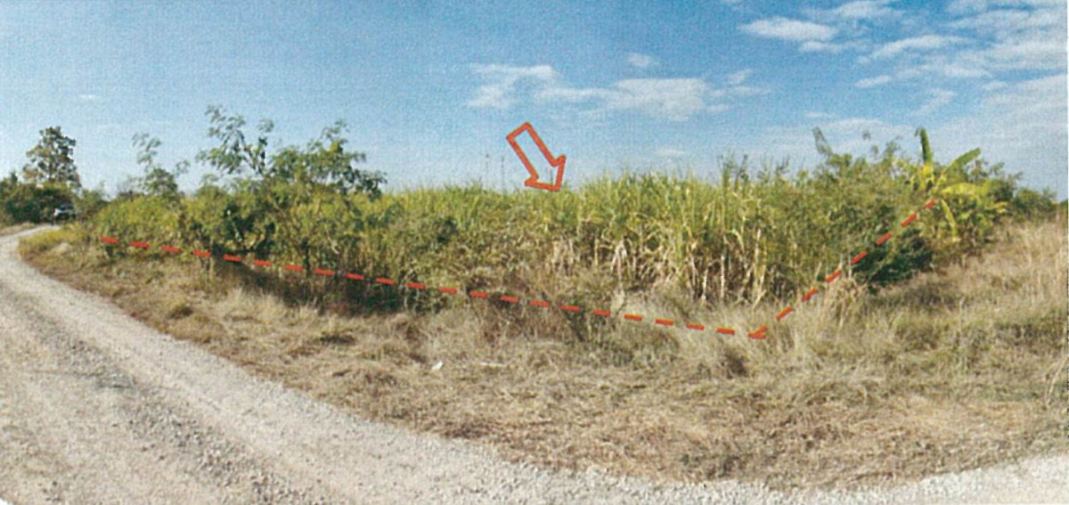 ที่ดินเปล่า เพชรบูรณ์ บึงสามพัน กันจุ 1009800