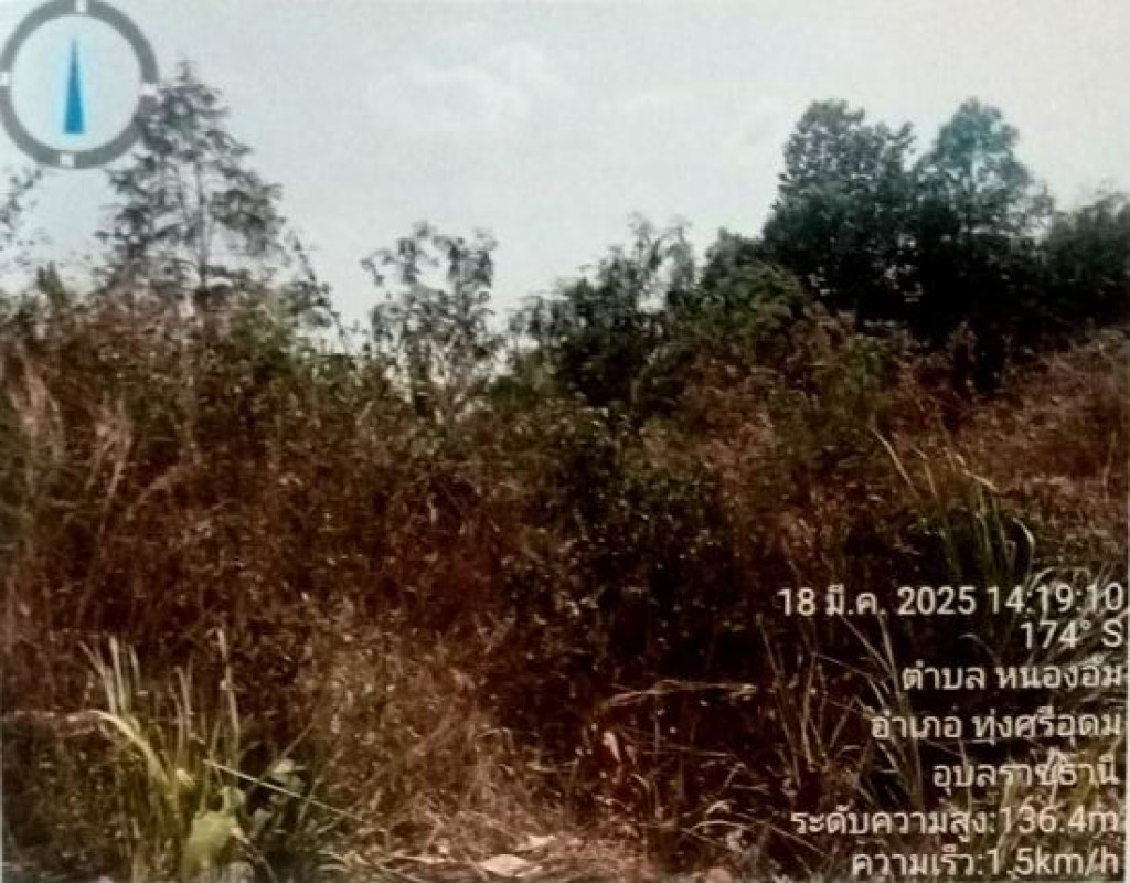 ที่ดินเปล่า อุบลราชธานี ทุ่งศรีอุดม หนองอ้ม 583240