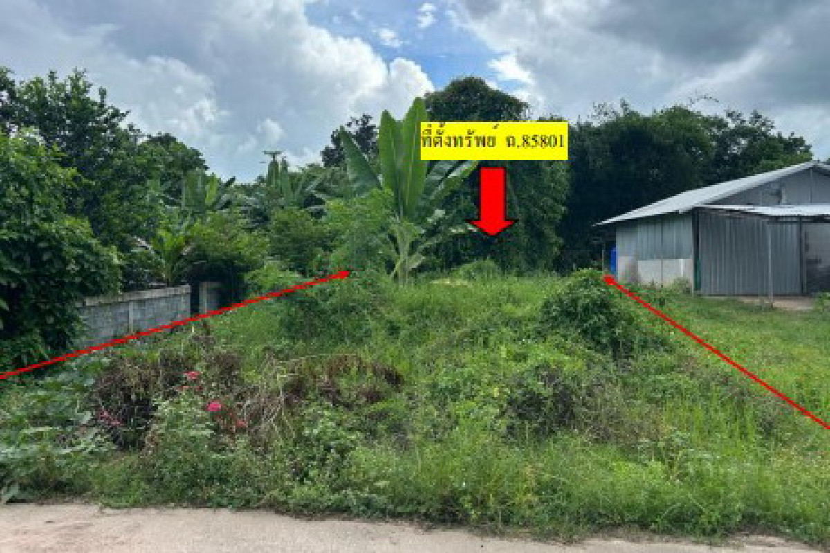 ที่ดินเปล่า กาฬสินธุ์ ยางตลาด บัวบาน 65300