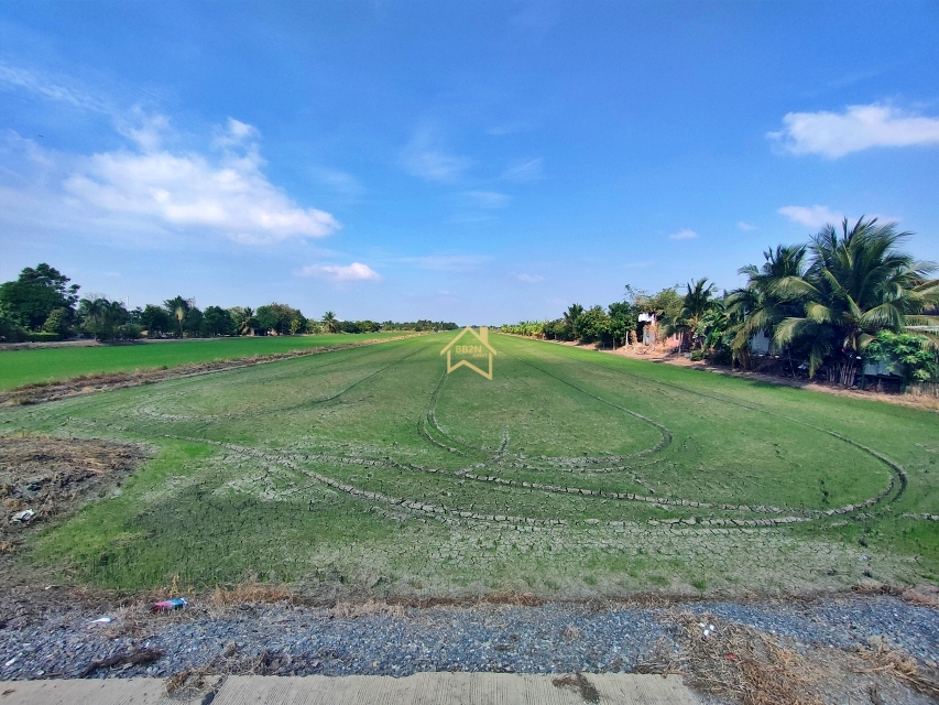 ที่ดินเปล่า ที่ดิน 21 ไร่78 ตารางวา อ.ไทรน้อย จ.นนทบุรี นนทบุรี ไทรน้อย ไทรใหญ่ 31500000