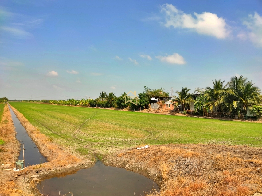 ที่ดินเปล่า ที่ดิน 21 ไร่78 ตารางวา อ.ไทรน้อย จ.นนทบุรี นนทบุรี ไทรน้อย ไทรใหญ่ 31500000