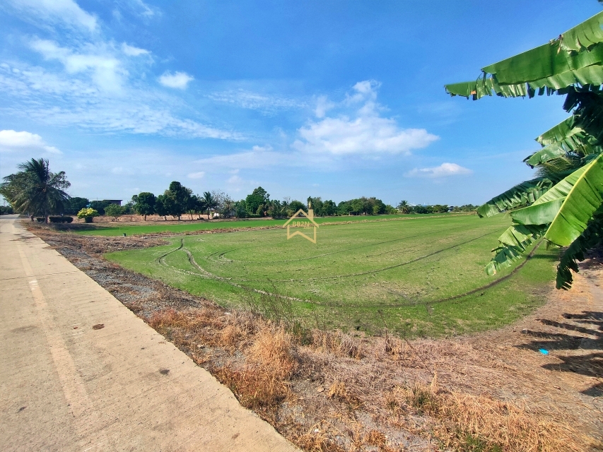 ที่ดินเปล่า ที่ดิน 21 ไร่78 ตารางวา อ.ไทรน้อย จ.นนทบุรี นนทบุรี ไทรน้อย ไทรใหญ่ 31500000