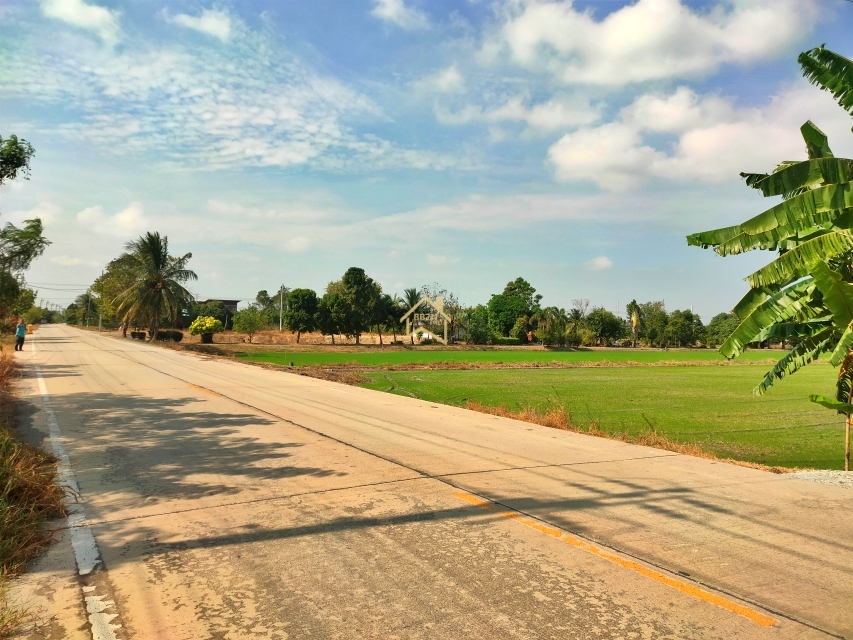 ที่ดินเปล่า ที่ดิน 21 ไร่78 ตารางวา อ.ไทรน้อย จ.นนทบุรี นนทบุรี ไทรน้อย ไทรใหญ่ 31500000