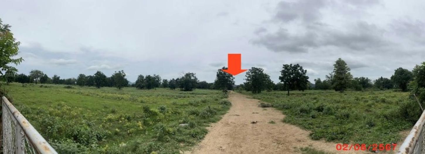 ที่ดินเปล่า ประจวบคีรีขันธ์ หัวหิน ทับใต้ 1000000