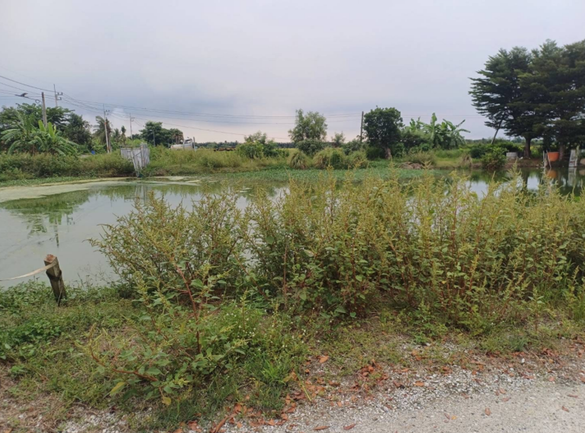 ที่ดินเปล่า ฉะเชิงเทรา เมืองฉะเชิงเทรา คลองเปรง 500000