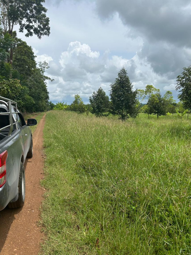 ที่ดินเปล่า จันทบุรี สอยดาว ทรายขาว 25000000