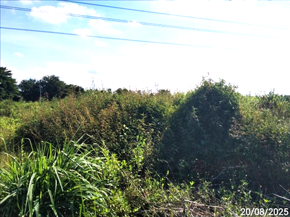 ที่ดินเปล่า ปราจีนบุรี ศรีมหาโพธิ กรอกสมบูรณ์ 964000