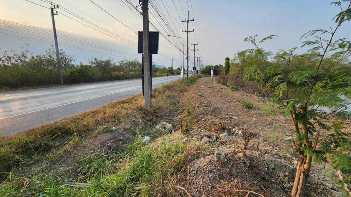 ที่ดินเปล่า ฉะเชิงเทรา บ้านโพธิ์ สนามจันทร์ 191600000