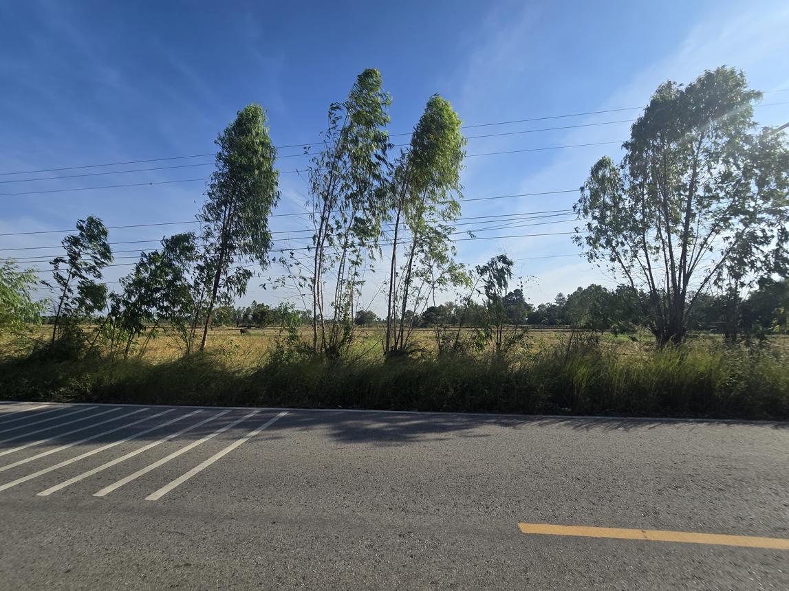 ที่ดินเปล่า ร้อยเอ็ด เสลภูมิ นาเมือง 3400000