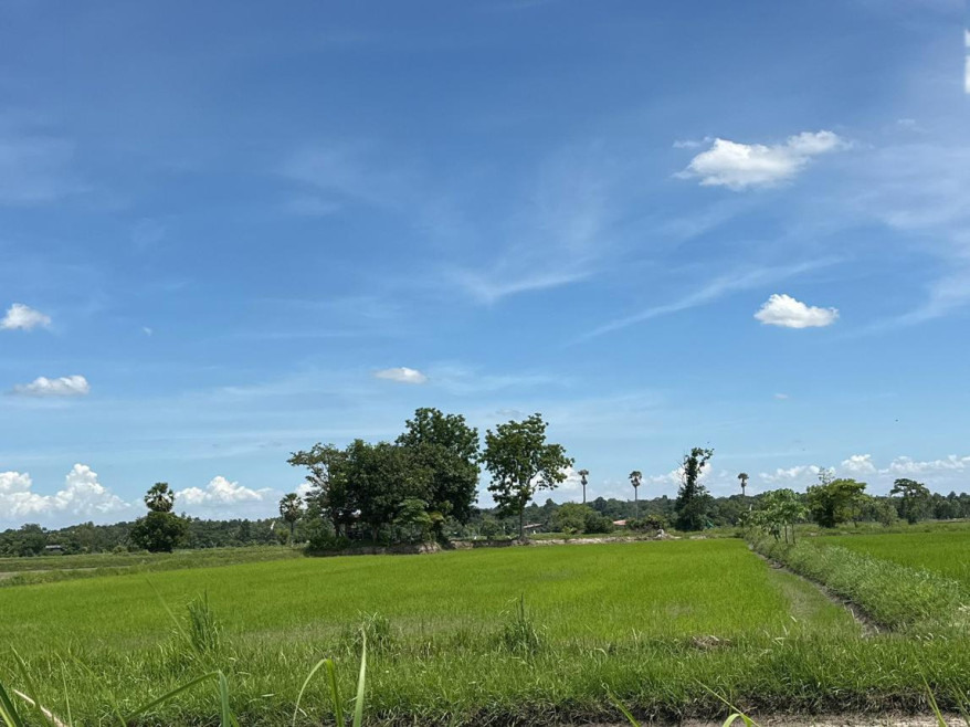 ที่ดินเปล่า ที่ดินว่างเปล่ากาฬสินธุ์ กาฬสินธุ์ เมืองกาฬสินธุ์ โพนทอง 1530000