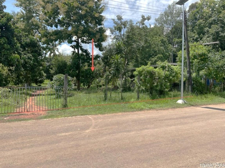 ที่ดินเปล่า นครพนม ธาตุพนม นาถ่อน 1109000