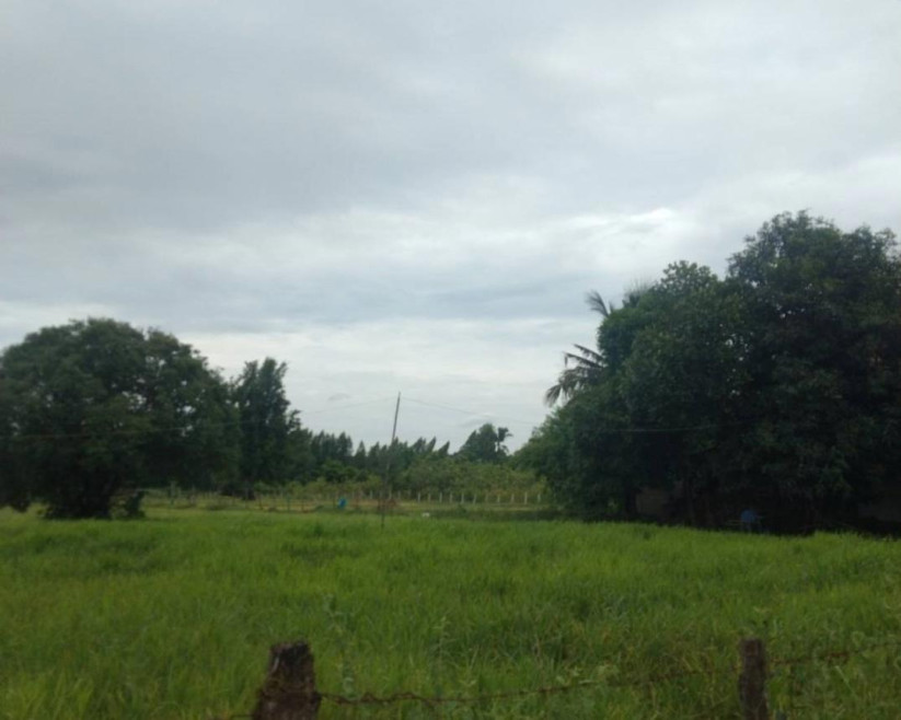 ที่ดินเปล่า ที่ดินว่างเปล่านครพนม นครพนม นาแก บ้านแก้ง 1242000