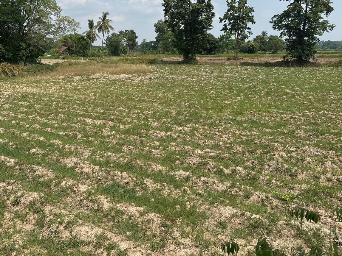 ที่ดินเปล่า ที่ดินว่างเปล่ากาฬสินธุ์ กาฬสินธุ์ เมืองกาฬสินธุ์ โพนทอง 3060000