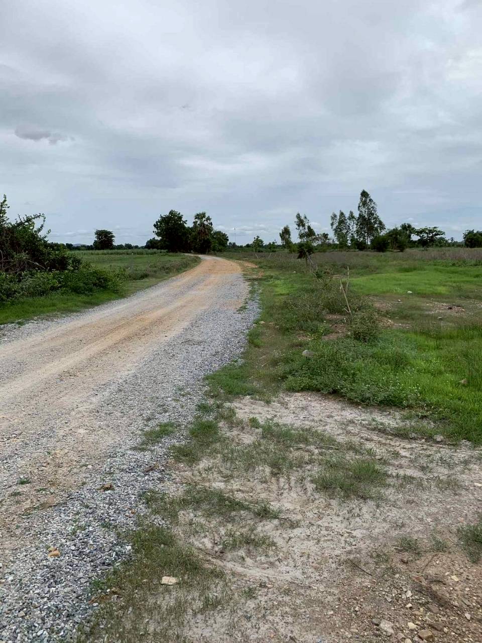 ที่ดินเปล่า กาญจนบุรี ห้วยกระเจา วังไผ่ 5250000