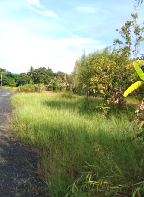 ที่ดินเปล่า เชียงใหม่ หางดง หางดง 550000