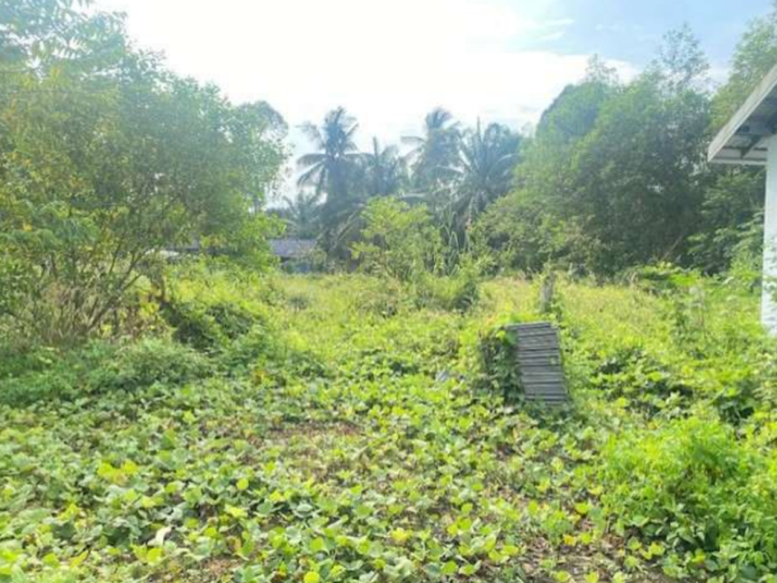 Residential land/lot Surat Thani Mueang Surat Thani Makham Tia 2800000