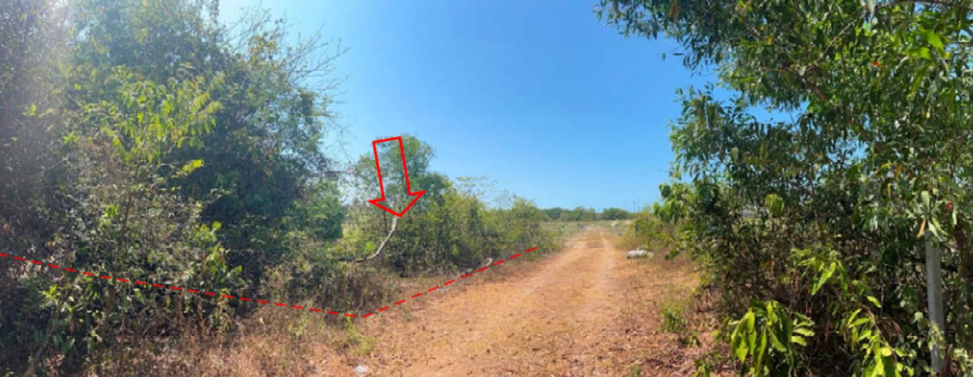 ที่ดินเปล่า สงขลา เมืองสงขลา เขารูปช้าง 333000