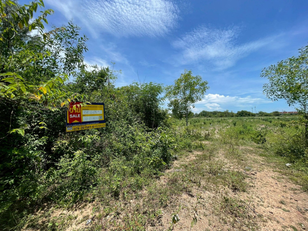 ที่ดินเปล่า สงขลา เมืองสงขลา เขารูปช้าง 333000
