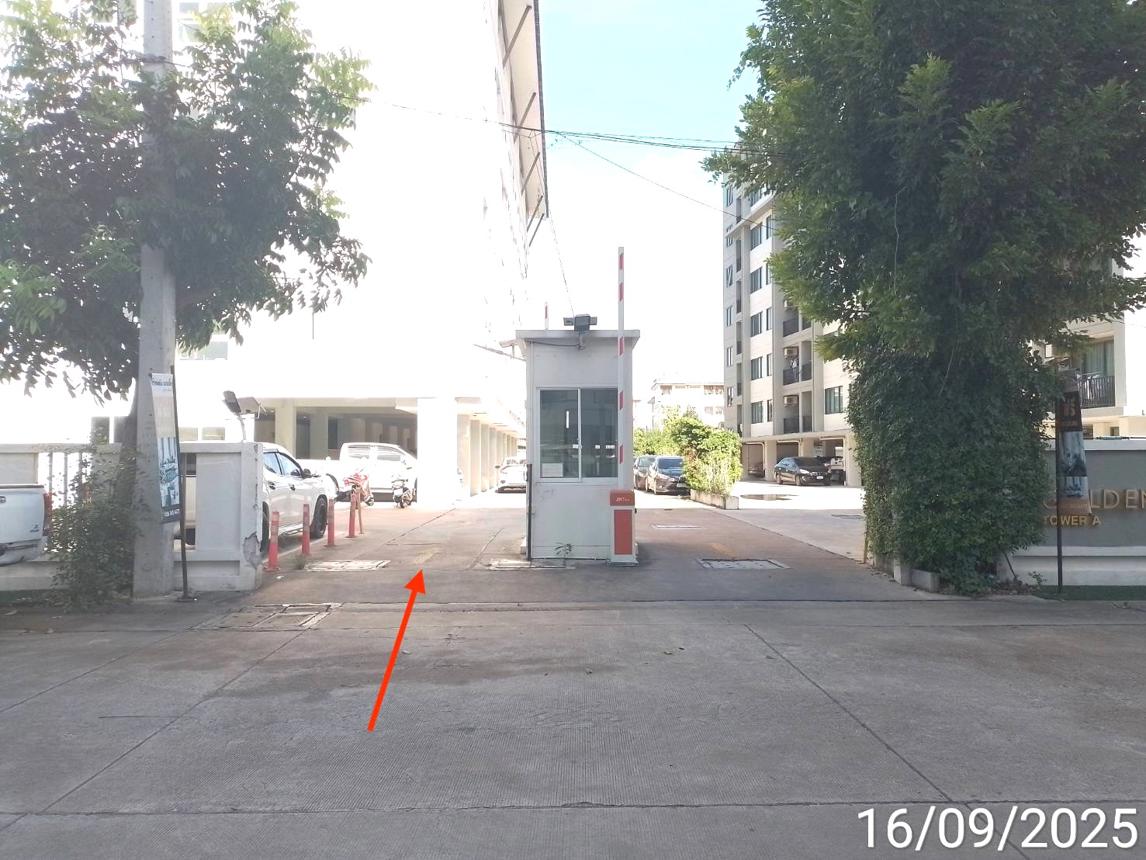 คอนโด โกลเด้น คอนโด เครือสหพัฒน์ อาคารเอ ชลบุรี ศรีราชา หนองขาม 1457000