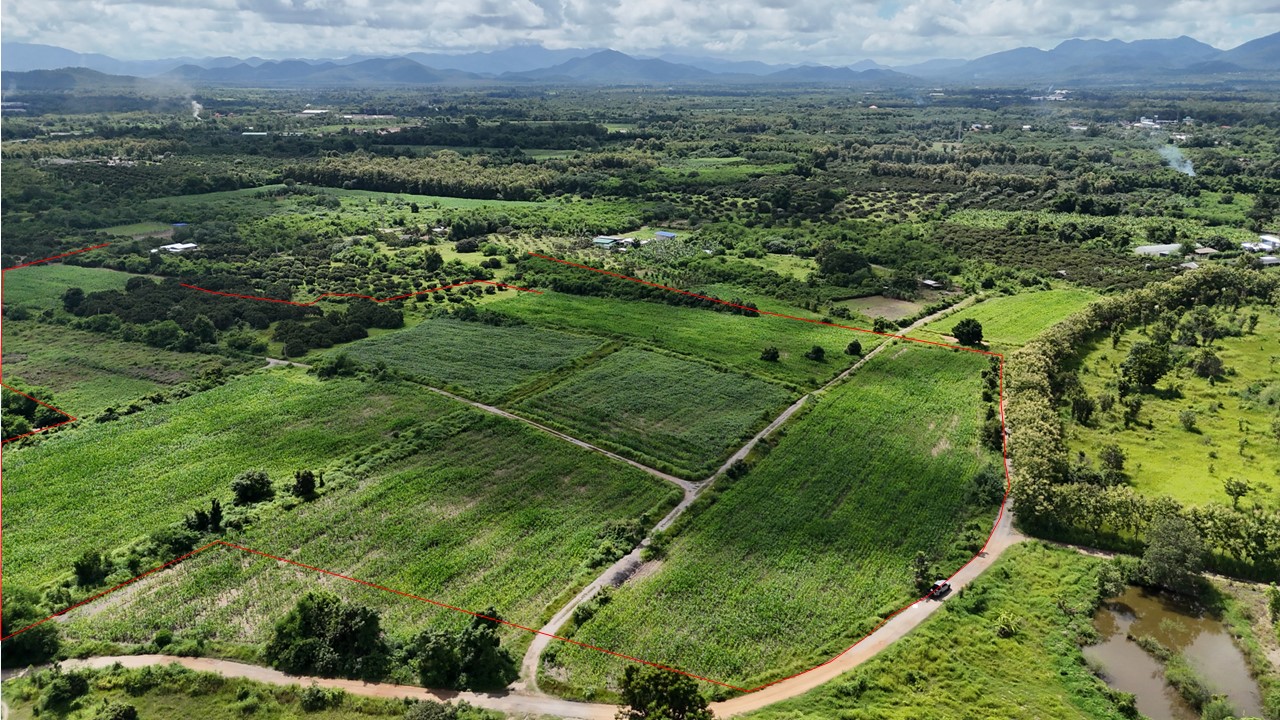 ที่ดินเปล่า น้ำหมานซิตี้วิว ลำพูน ลำพูน ป่าซาง นครเจดีย์ 98000