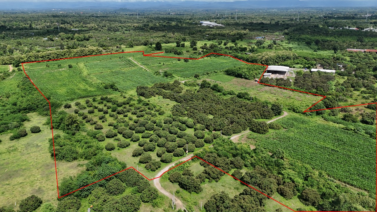 ที่ดินเปล่า น้ำหมานซิตี้วิว ลำพูน ลำพูน ป่าซาง นครเจดีย์ 234000