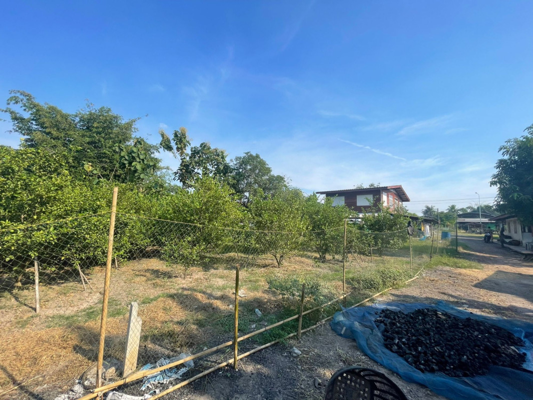 บ้านเดี่ยว นอกโครงการพิจิตร พิจิตร โพทะเล ท่าบัว 1460000