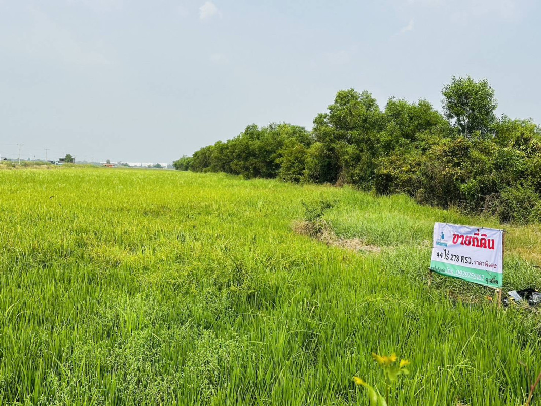 ที่ดินเปล่า นครนายก องครักษ์ องครักษ์ 69000000