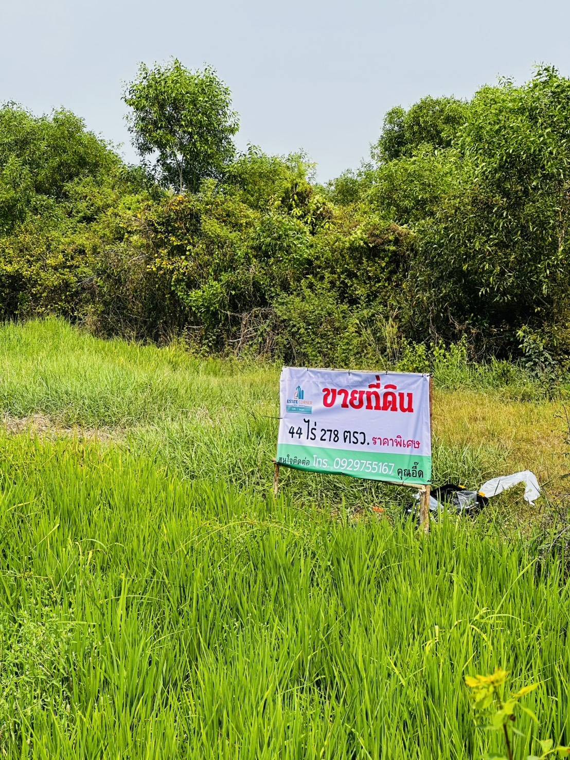 ที่ดินเปล่า นครนายก องครักษ์ องครักษ์ 69000000
