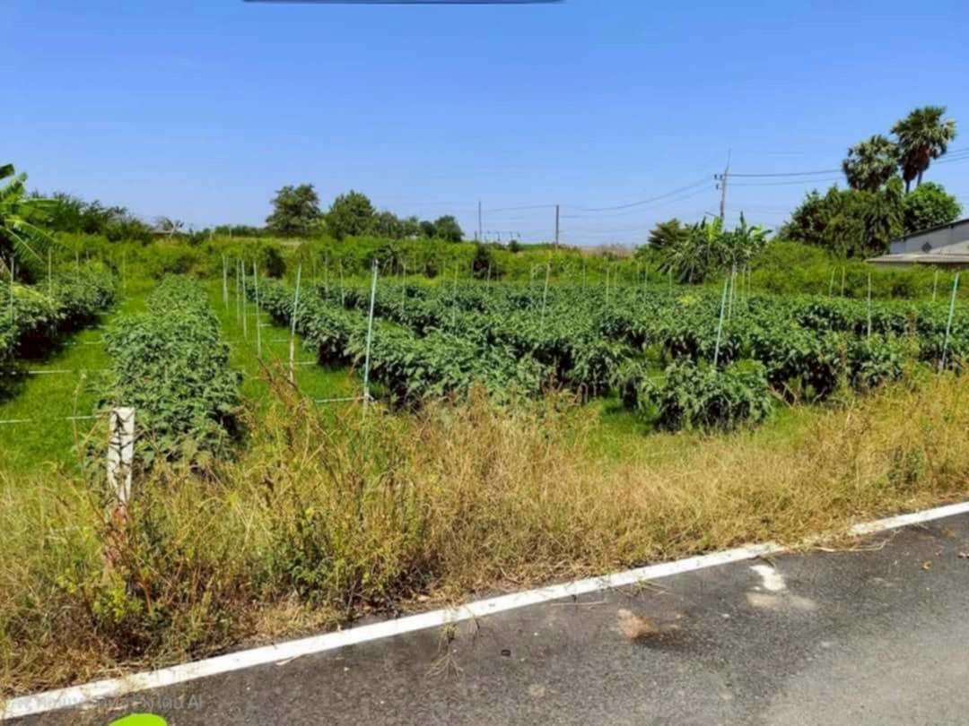 ที่ดินเปล่า นครปฐม เมืองนครปฐม นครปฐม 5400000