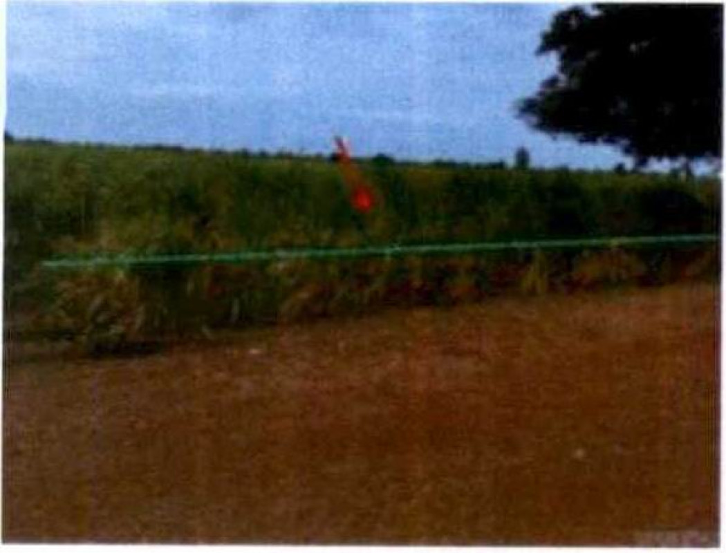 ที่ดินเปล่า สุพรรณบุรี หนองหญ้าไซ หนองโพธิ์ 1463800